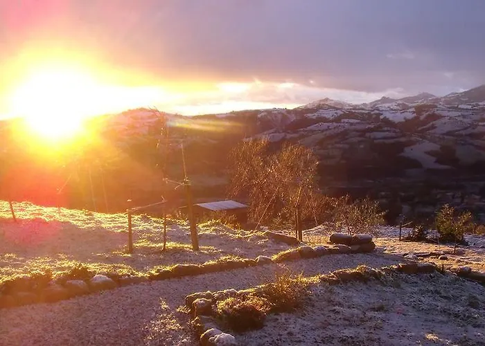 Bed & Breakfast Scacciapensieri - Vini D'altura