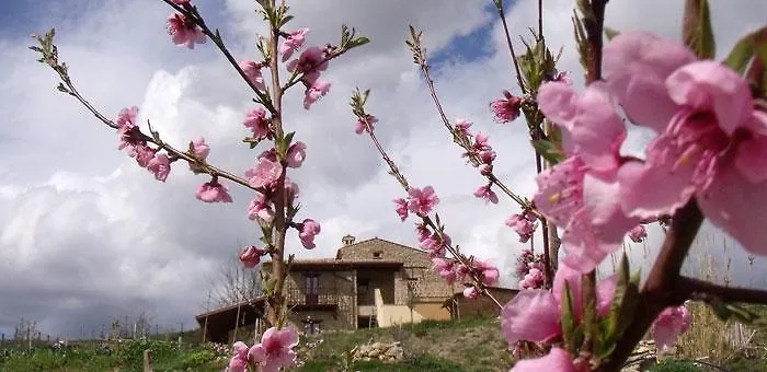 Scacciapensieri - Vini D'altura Bed & Breakfast Colledara